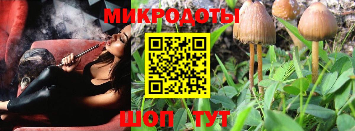 даркнет сайт  Вход с VPN  Черняховск  Псилоцибиновые грибы Psilocybe 