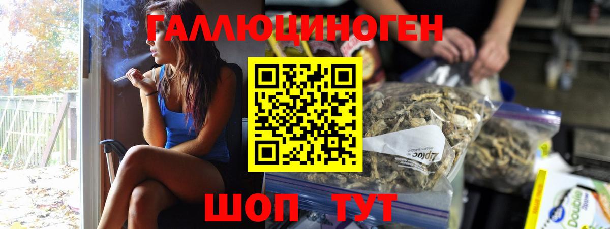 Галлюциногенные грибы прущие грибы Черняховск